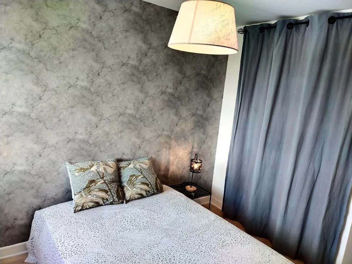 Apartment Le 106 - Spacieux Elegant T5 - 106 M2 - De 1 A 4 Chambres - Wifi Exterieur Rodez